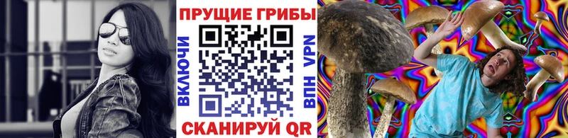 Псилоцибиновые грибы MAGIC MUSHROOMS  Райчихинск 