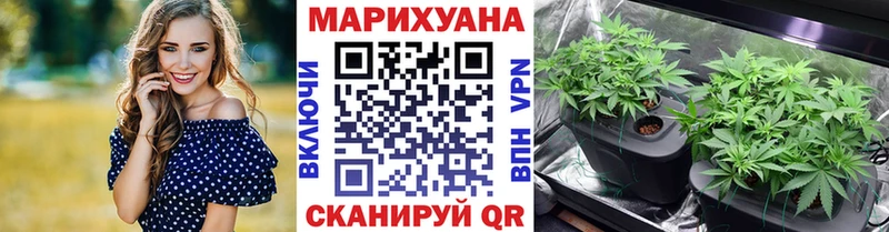 Конопля план  Райчихинск 